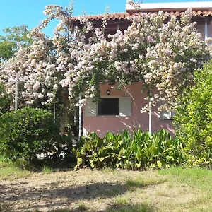 Jerry , Svoronata Grecia